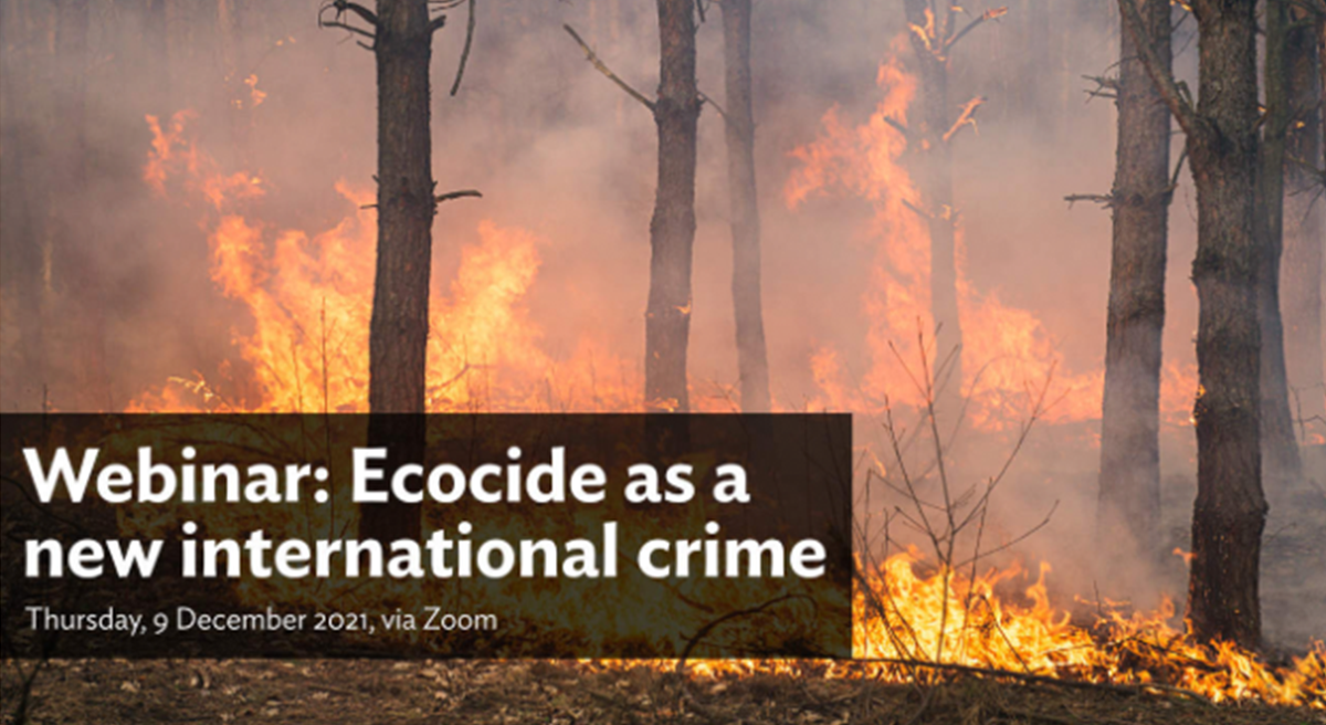 Ecocide as a New International Crime