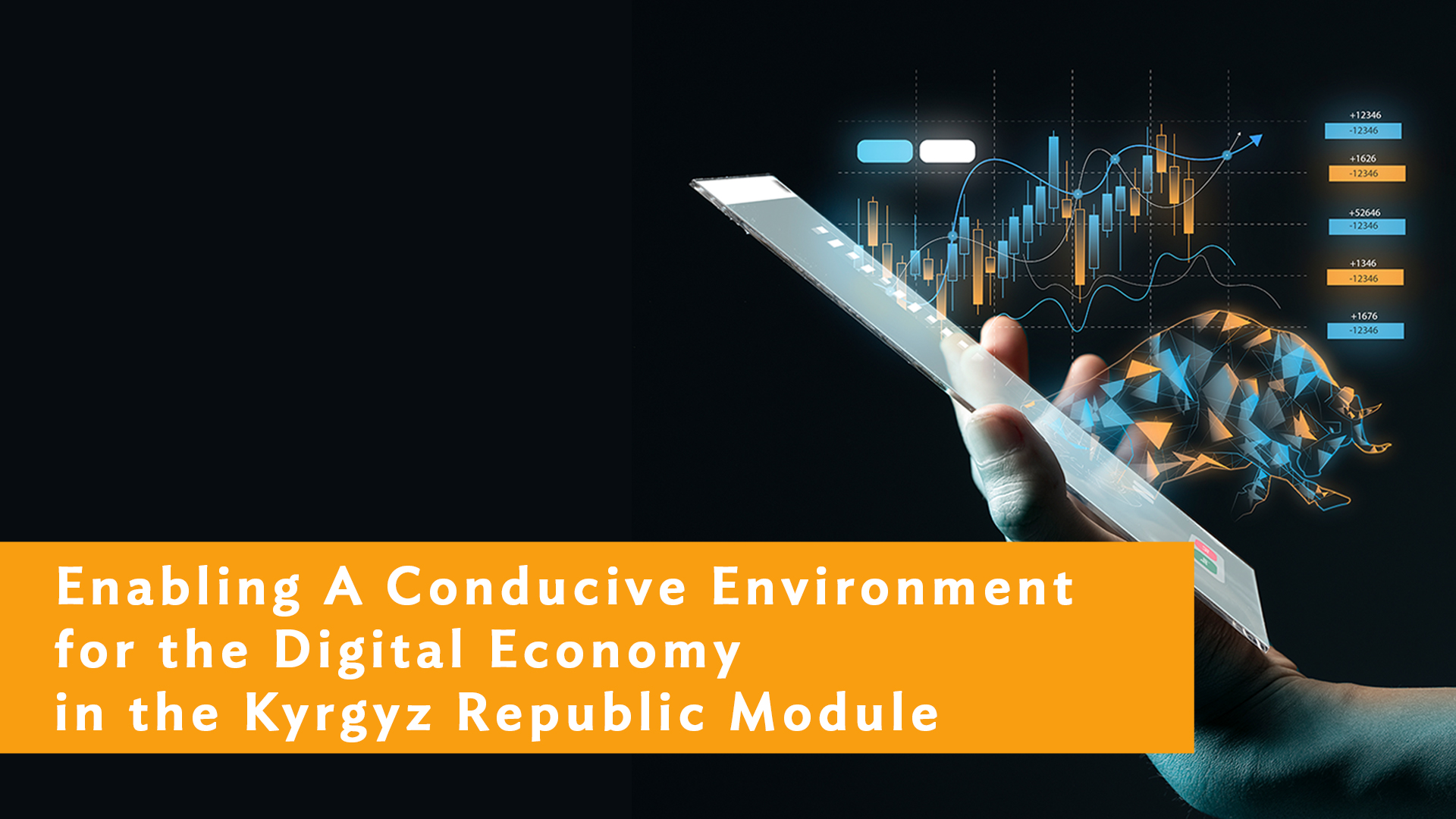Enabling A Conducive Environment for the Digital Economy in the Kyrgyz Republic Module