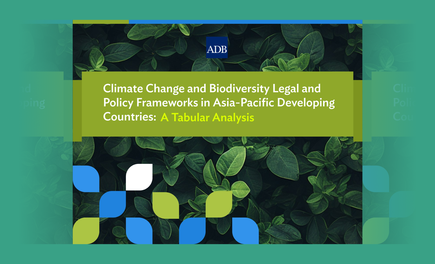 Climate Change and Biodiversity Legal and Policy Frameworks in Asia-Pacific Developing Countries