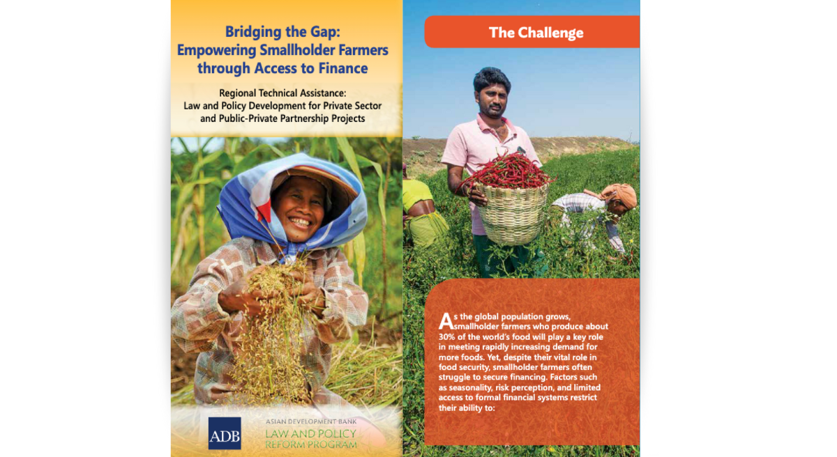 Bridging the Gap: Empowering Smallholder Farmers through Access to Finance