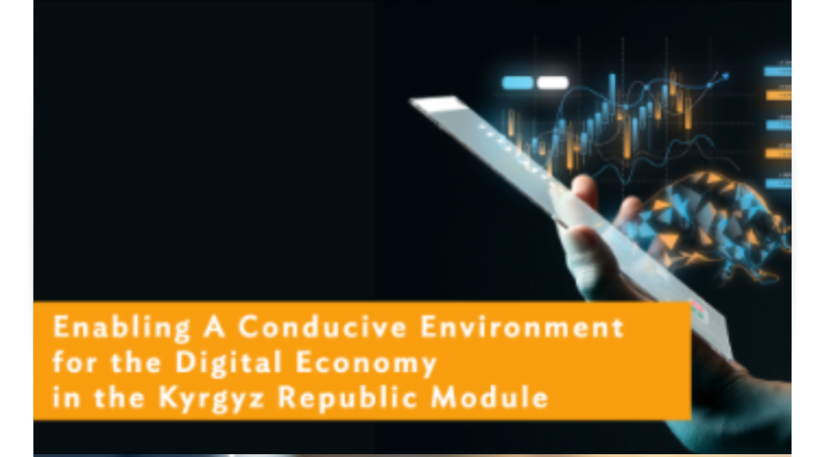 Enabling A Conducive Environment for the Digital Economy in the Kyrgyz Republic Module