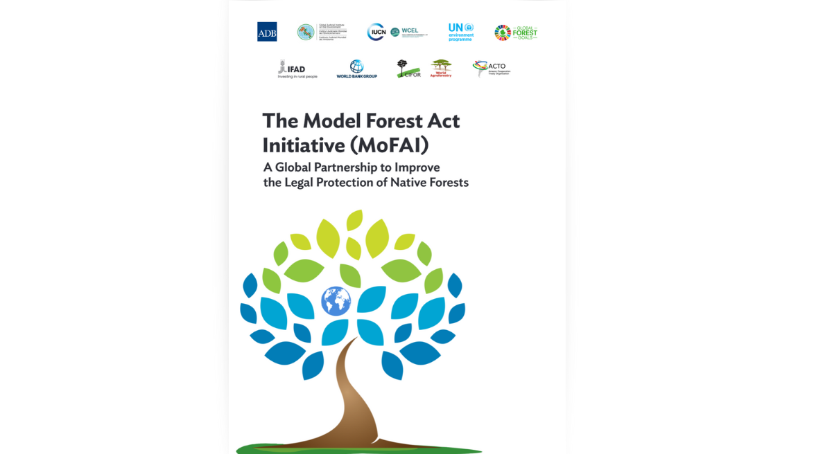 The Model Forest Act Initiative (MoFAI): A Global Partnership to Improve the Legal Protection of Native Forests