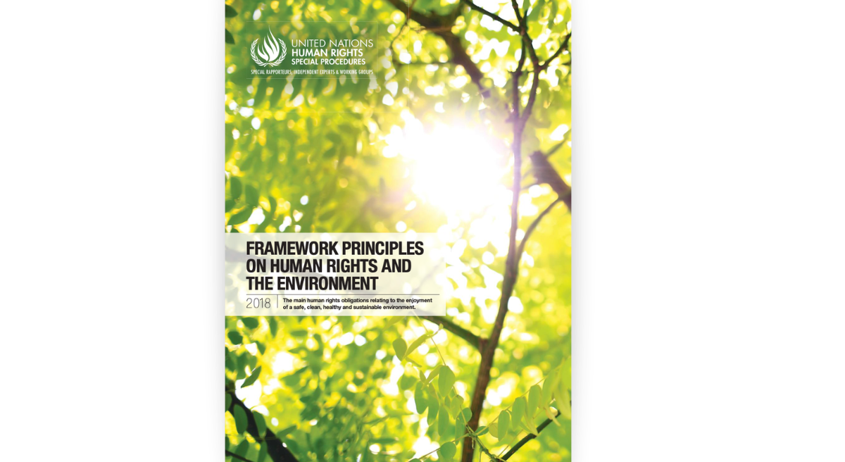 Framework Principles on Human Rights and the Environment: The main human rights obligations relating to the enjoyment of a safe, clean, healthy and sustainable environment