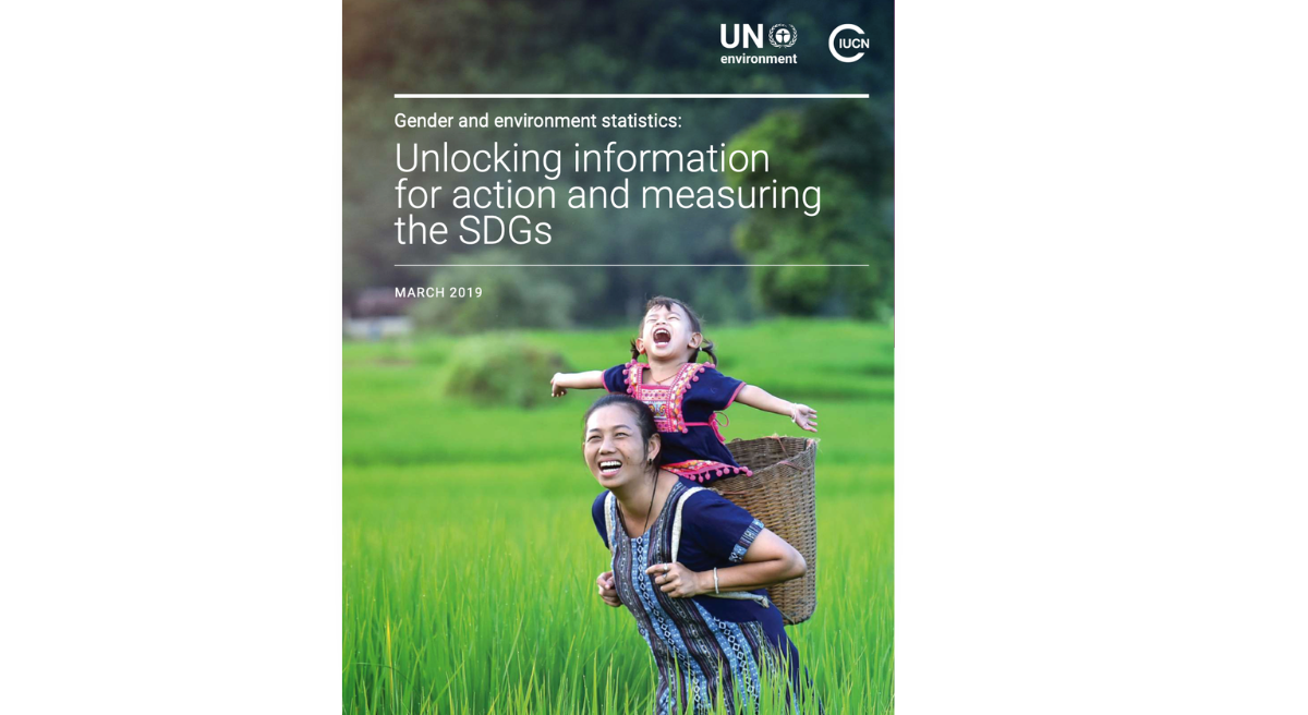 Gender and Environment Statistics: Unlocking information for action and measuring SDGs