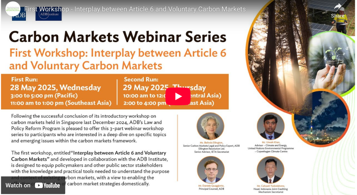 Interplay between Article 6 and Voluntary Carbon Markets