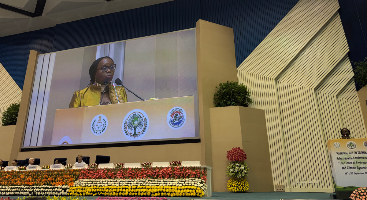 Patricia Mbote, Director of UNEP’s Law Division, used this platform to showcase the key elements of the Model Framework Forest Act.