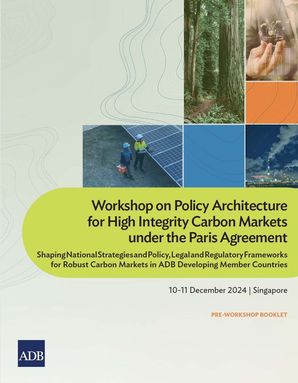 ADB Workshop on Policy Architecture for High Integrity Carbon Markets under the Paris Agreement