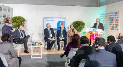 Legal and Judicial Experts Explore Ways to Strengthen Environmental Protection and Address Climate Change at COP29 Side Events Organized by ADB OGC’s Law and Policy Reform Program 