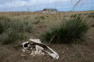 A Mongolian rural landscape