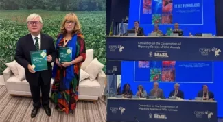 ADB's MoFAI Builds Momentum at COP15 on Migratory Species 