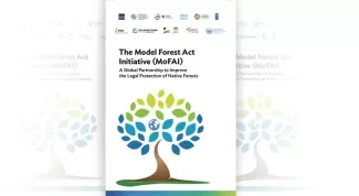 The Model Forest Act Initiative (MoFAI): A Global Partnership to Improve the Legal Protection of Native Forests