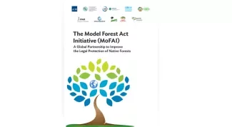 The Model Forest Act Initiative (MoFAI): A Global Partnership to Improve the Legal Protection of Native Forests