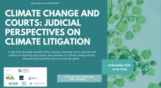 Climate Change and Courts: Judicial Perspectives on Climate Litigation 