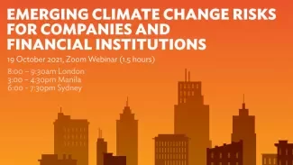 Emerging Climate Change Risks for Companies and Financial Institutions