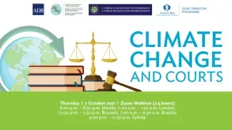 Climate Change and Courts