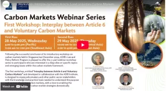Video: Interplay between Article 6 and Voluntary Carbon Markets