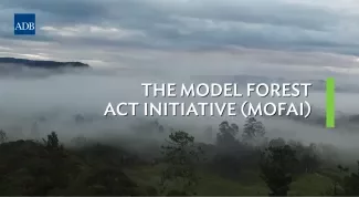 Protecting Philippine Forests: Stakeholder Voices Shape MoFAI